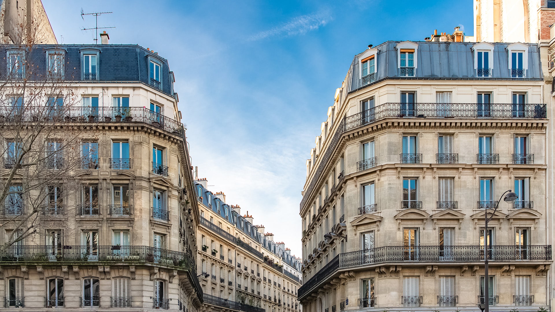 A street view of Haussmannian buildings in Paris that follow standard design rules.
